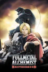 جميع حلقات انمي Fullmetal Alchemist: Brotherhood مترجمة